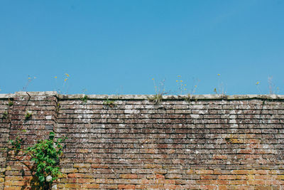 Low angle view of brick wall against building