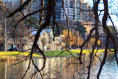 Reflection of bare trees in lake