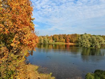 Scenic view of lake by trees against sky during autumn