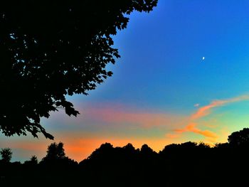 Silhouette of trees against sky at sunset