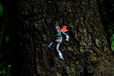 Close-up of figurine on tree trunk