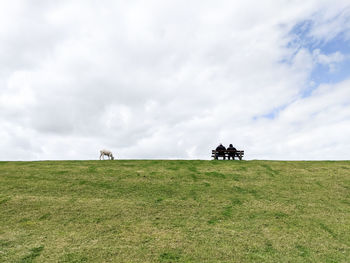 Horse cart on field against sky