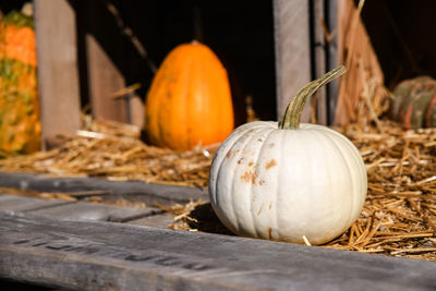Close-up of pumpkin with pumpkins during autumn
