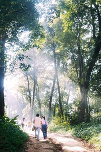 Rear view of couple walking amidst trees