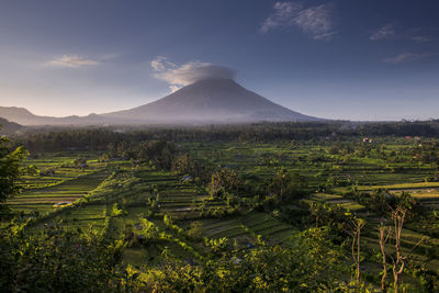 Scenic view of landscape against sky