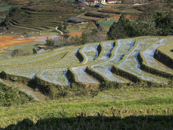 High angle view of agricultural field