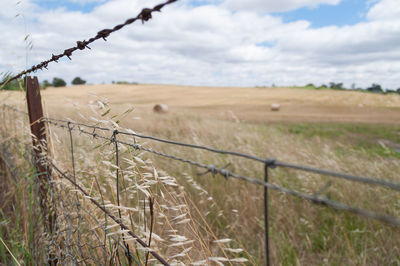 Close up of barbed wire fence with farm field on the background. rural agriculture scene