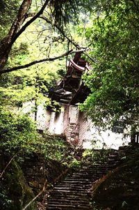 Staircase of old building