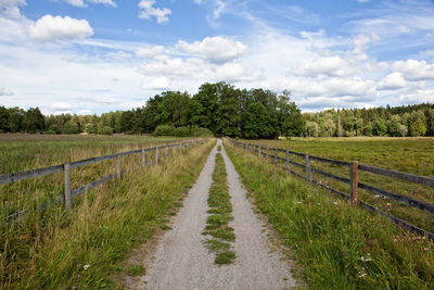 Road amidst grassy field leading towards forest
