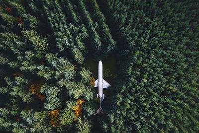 High angle view of airplane amidst trees