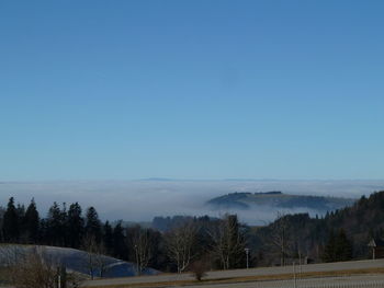 Scenic view of landscape against clear blue sky