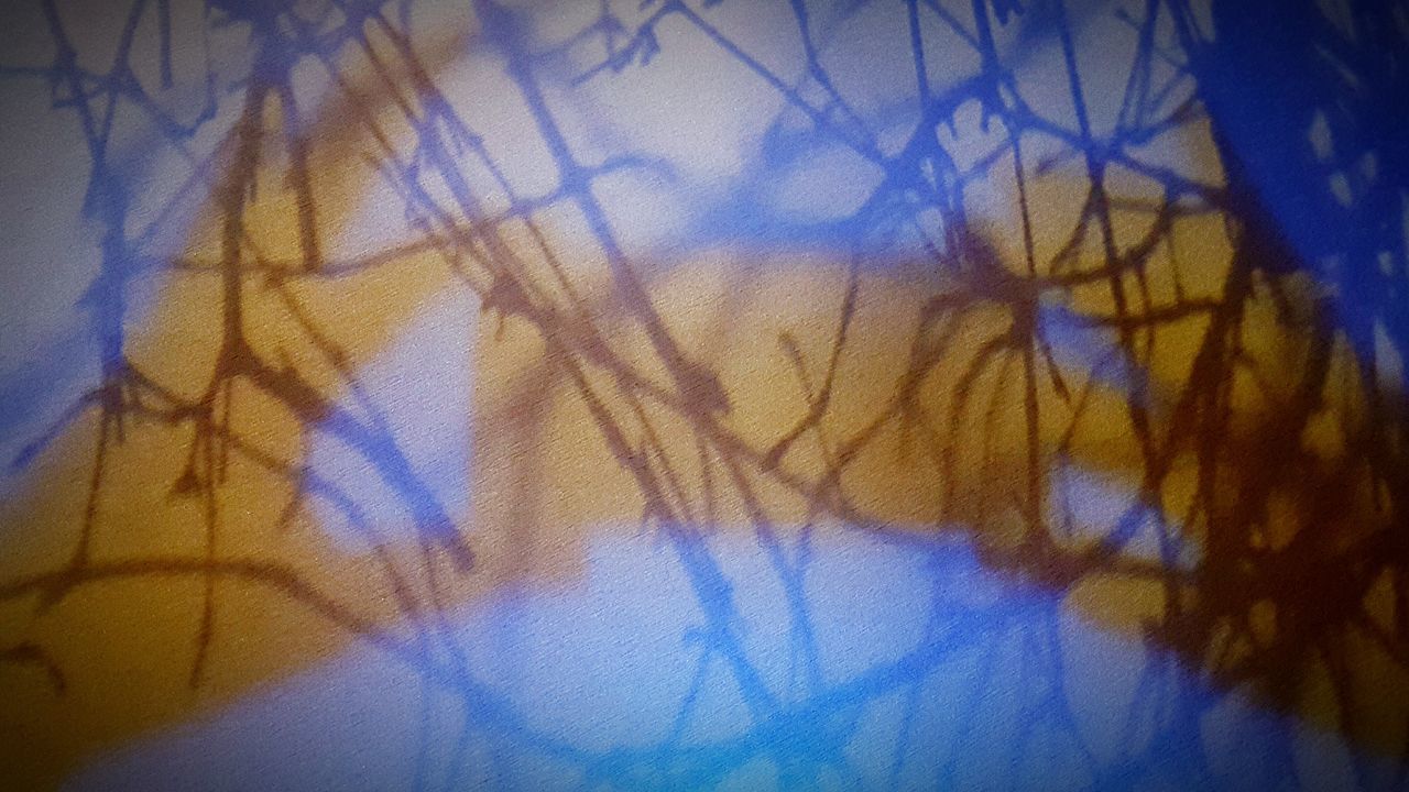 🇩🇪 Günter 😎