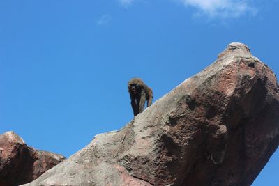 Low angle view of monkey on rock formation against sky