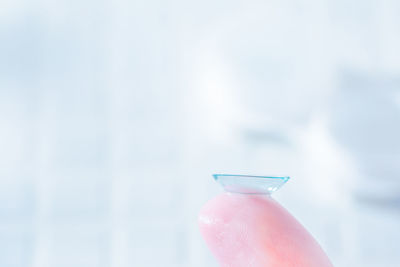 Close-up of hand holding umbrella