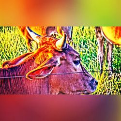 Close-up of built structure