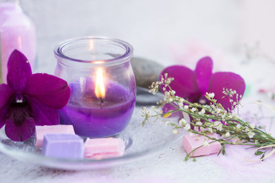 Close-up of purple flower on table