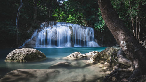 Scenic view of waterfall in forest