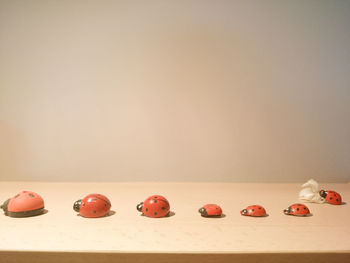 Ladybug toys on table against wall