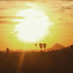 Scenic view of landscape against sky during sunset