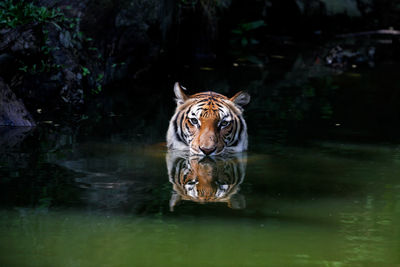 View of a drinking water from a lake