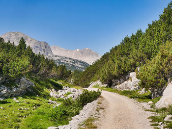 Road amidst plants and mountains against clear sky