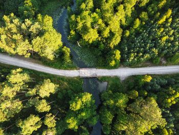 High angle view of road by trees in forest