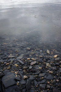 Close-up of water on beach