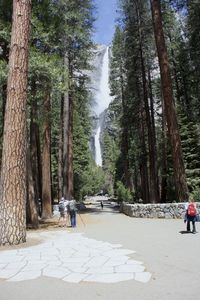 People on road amidst trees against lower yosemite falls