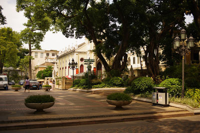 Cars parked on road