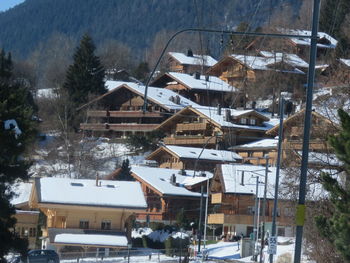 snow