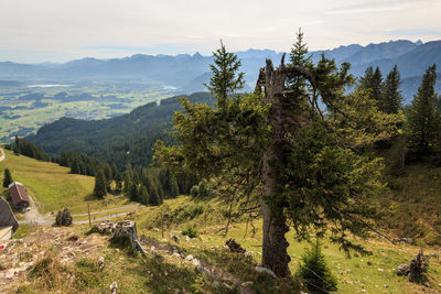 Scenic view of landscape and mountains against sky