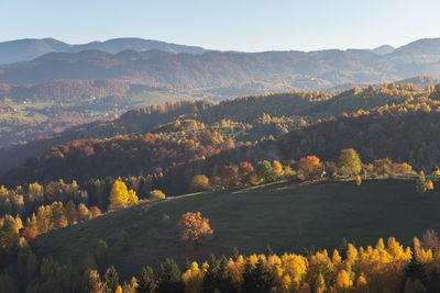 Autumn countryside landscape in transylvania, romania, at the foot of the carpathian mountains