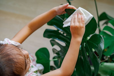 High angle view of boy holding leaf