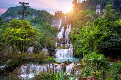 Scenic view of waterfall in forest