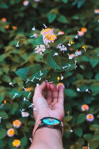 Cropped hand of woman by falling flower petals