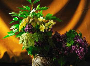 Close-up of flowering plant