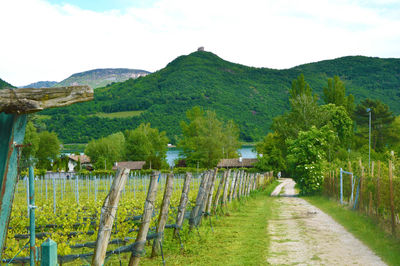 Scenic view of landscape and mountains against sky