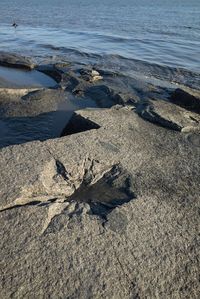 High angle view of rocks on beach
