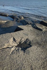 High angle view of rocks on beach