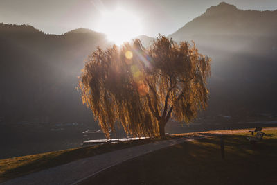 Scenic view of road by mountains against sky