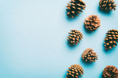 Close-up of christmas decorations on white background