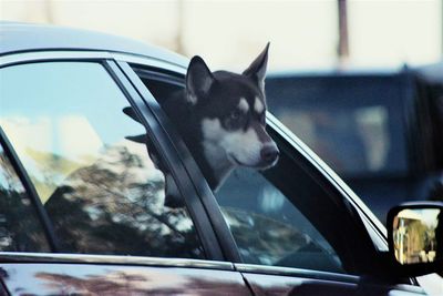 Close-up of car window