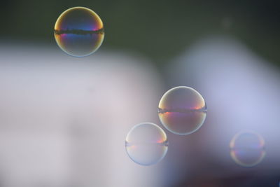 Close-up of bubbles