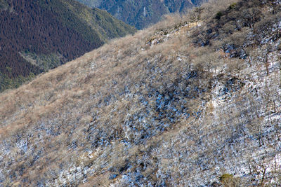 Full frame shot of rocks on land