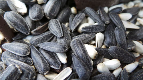 Full frame shot of sunflower seeds