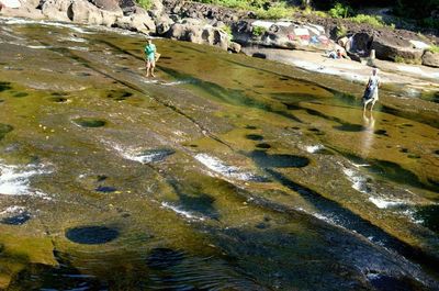 High angle view of sunlight