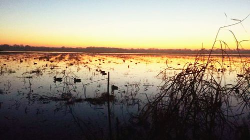 Scenic view of lake at sunset