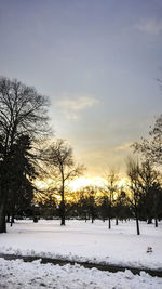 Snow covered trees against sky during sunset