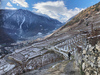 Vignoble valaisan en hiver