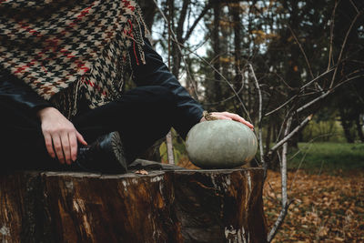 Cropped view of a woman sitting on a tree stump in the forest and holding a pumpkin.